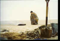 Picture 071.jpg (295465 bytes)