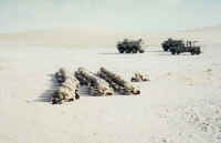 Picture 113.jpg (133538 bytes)